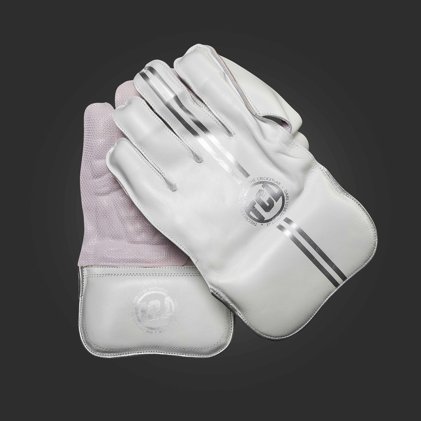 Wicket Keeping Gloves