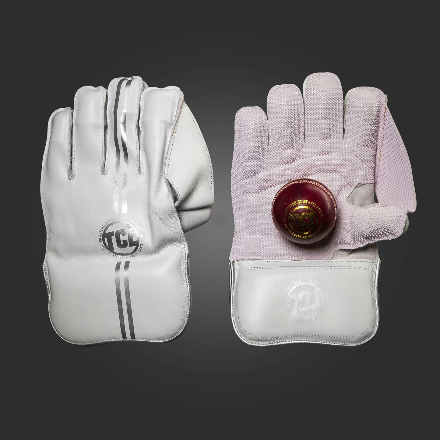 Wicket Keeping Gloves