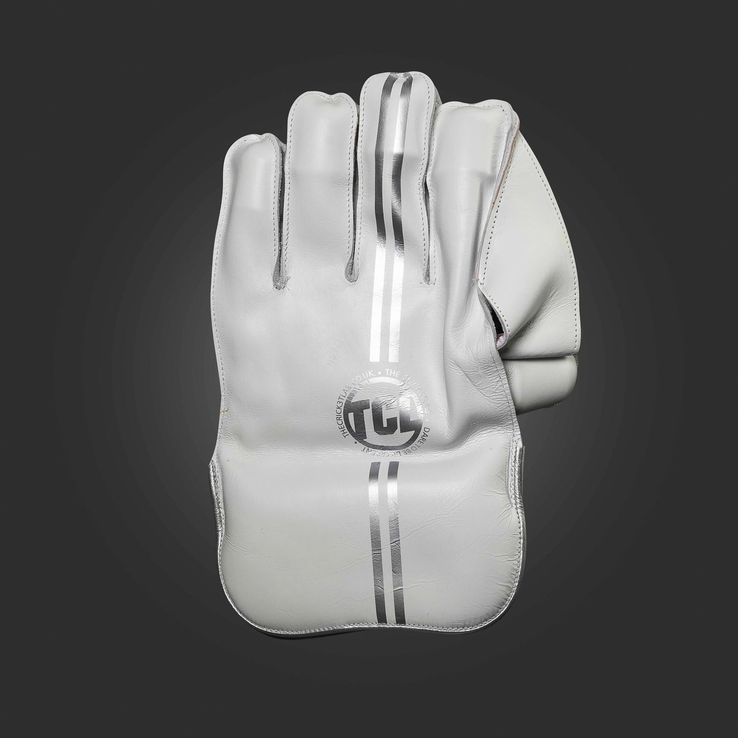 Wicket Keeping Gloves